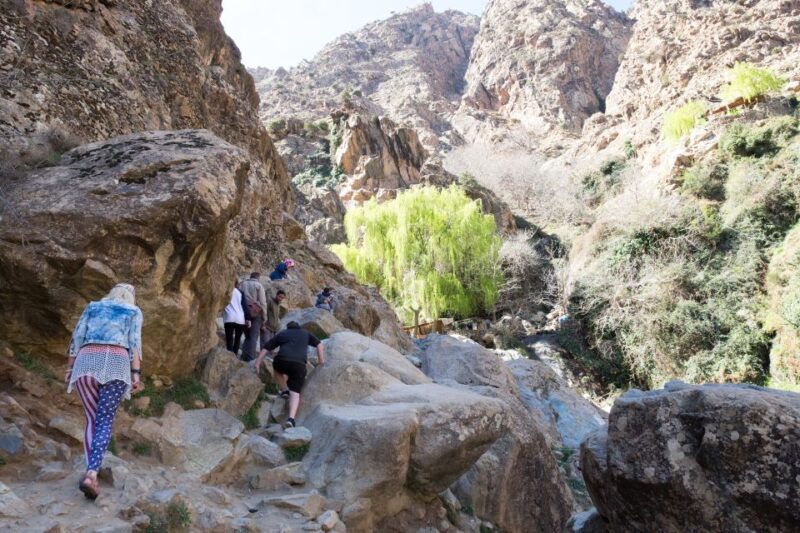 Marrakech: Atlas Mountains and 5 Valleys Day Tour with Lunch - The Meal and Cultural Touches