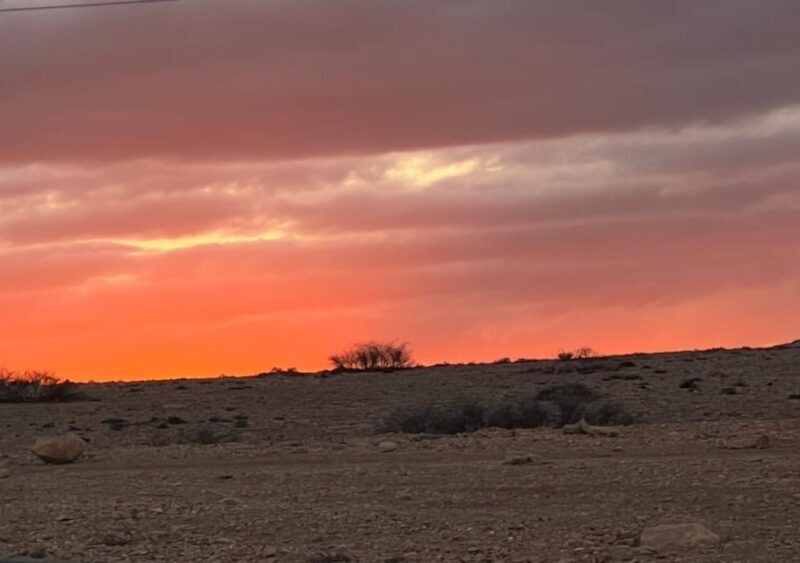 Marrakech: Atlas Mountains and Agafay Desert Trip with Lunch - Key Points