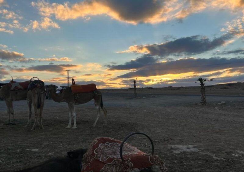 Marrakech: Atlas Mountains and Agafay Desert Trip with Lunch - Who Will Love This Tour?