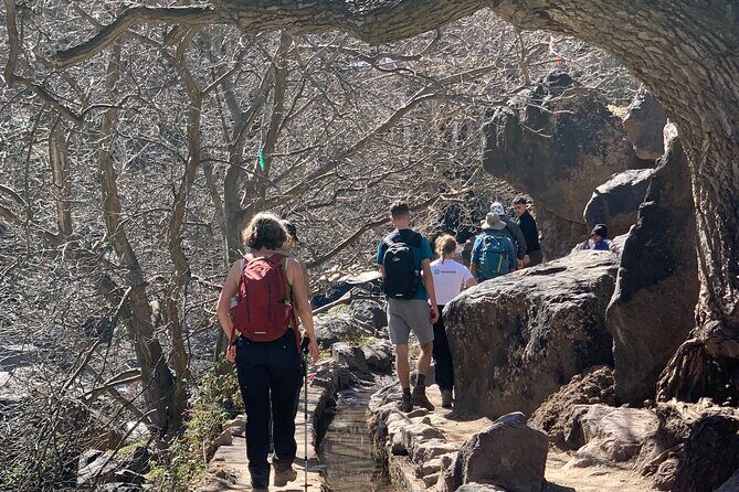 Marrakech: Atlas Mountains, Berber Villages and waterfall - In The Sum Up