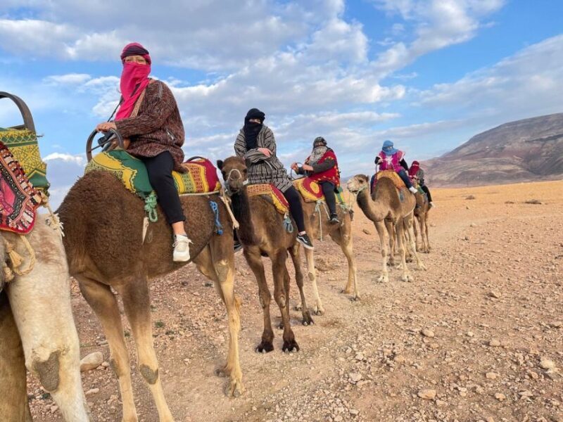 Marrakech: Atlas Mountains, Camel Ride, Waterfalls, & Lunch - Key Points
