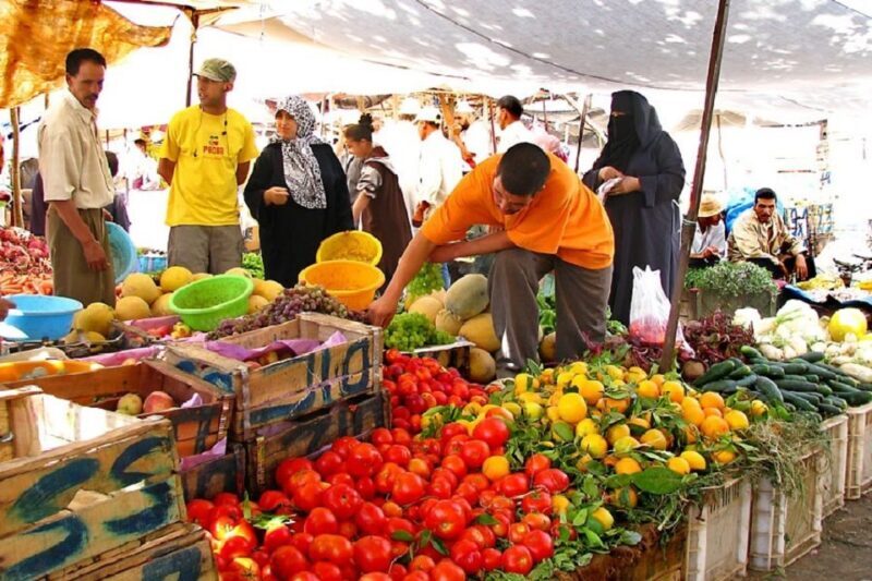 Marrakech: Atlas Mountains, Camel Ride, Waterfalls, & Lunch - Practical Tips for Travelers