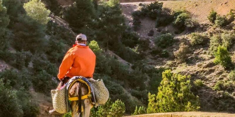 Marrakech: Atlas Mountains Day Trip, 3 Valleys & Camel Ride - The Sum Up