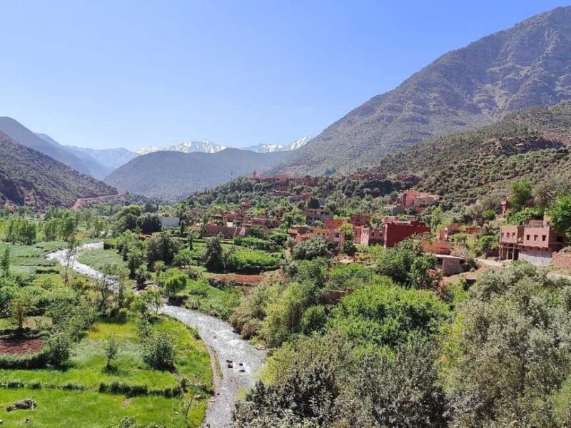 Marrakech: Atlas Mountains, Ourika Valley, Guide & Lunch - Authenticity and Real Traveler Insights