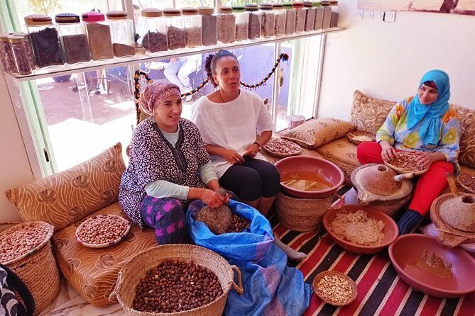 Marrakech: Atlas Mountains, Ourika Valley, Waterfall with Guide - The Sum Up