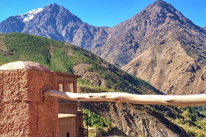 Marrakech & Atlas Mountains Private Tour - The Sum Up