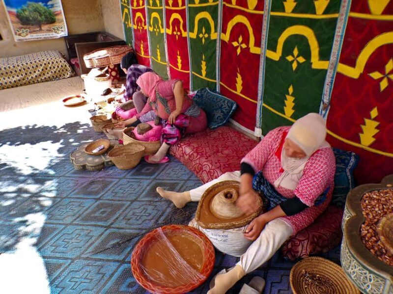 Marrakech: Atlas Mountains Valleys, Waterfall & Berber Lunch - Who Will Appreciate This Tour?