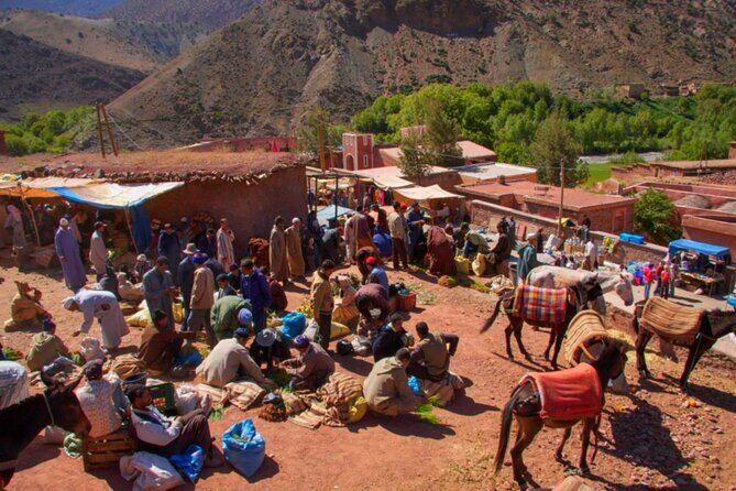Marrakech: Atlas Mountains & Villages, Waterfalls, Camel Ride - Who Will Enjoy This Tour?