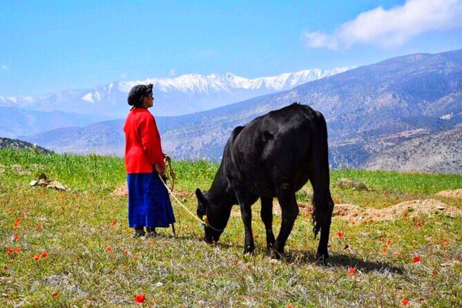 Marrakech: Atlas Mountains & Villages, Waterfalls, Camel Ride - Conclusions: Is This Tour Right for You?