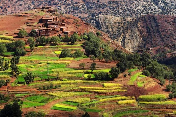 Marrakech: Atlas Mountains & Villages, Waterfalls, Camel Ride - FAQ