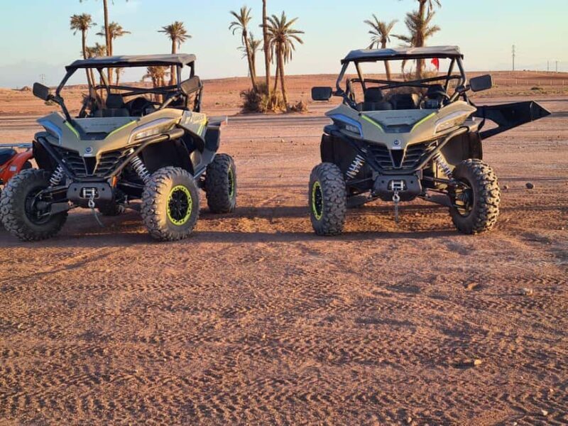 Marrakech: buggy Palmeraie Tour Camel Ride with Tea break - Transition to a Gentle Camel Ride at Sunset