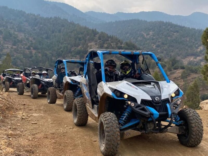 Marrakech: Buggy Ride, Pool & Dinner Show in Agafay Desert - Key Points