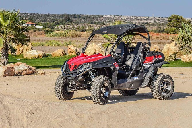 Marrakech: Buggy Tour in the Palmgroves - The Sum Up