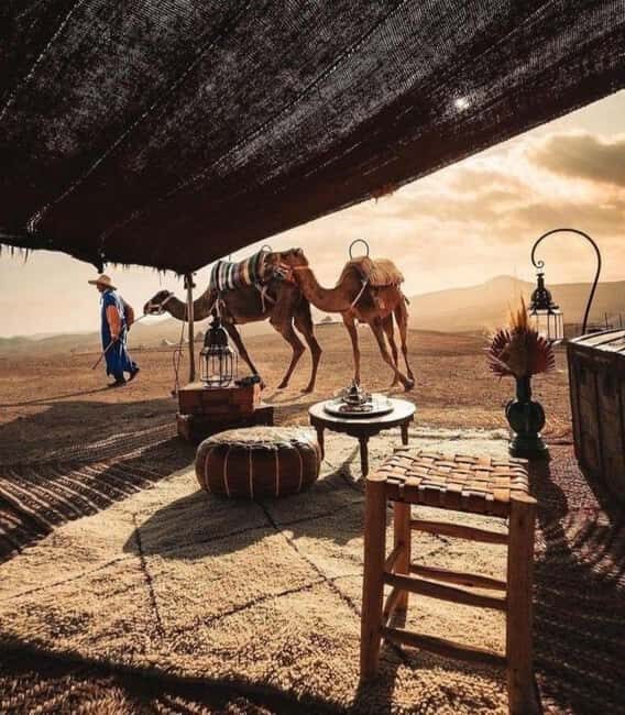 Marrakech: Camel & Quad Bike Tour with Sunset, Dinner & Show - Key Points