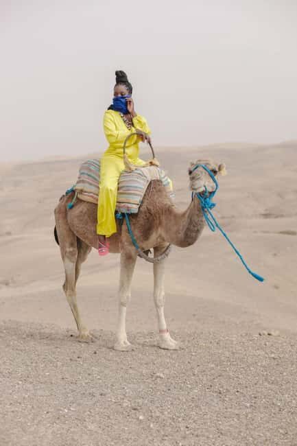 Marrakech: Camel & Quad Bike Tour with Sunset, Dinner & Show - Marrakech: Camel & Quad Bike Tour with Sunset, Dinner & Show
