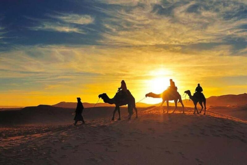 Marrakech: Camel & Quad Bike Tour with Sunset, Dinner & Show - Who Will Love This Experience?