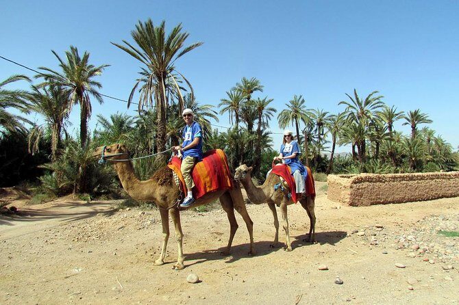 Marrakech Camel Ride at the Palm Groves - The Details of the Marrakech Camel Ride