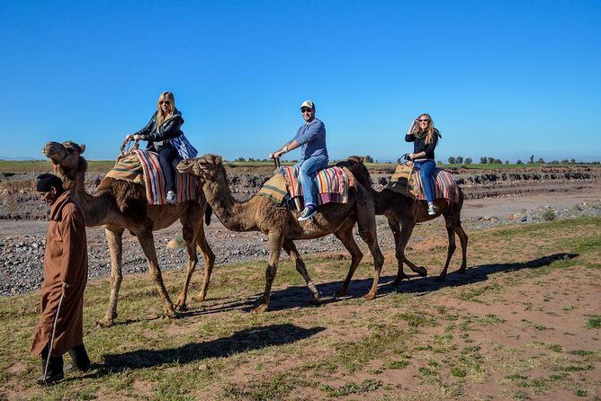 Marrakech Camel Ride at the Palm Groves - Final Thoughts