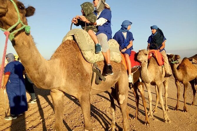 Marrakech Camel Ride - FAQs