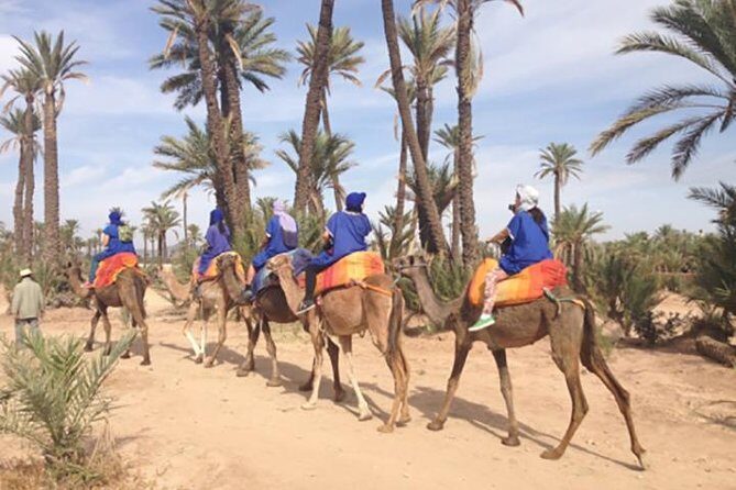 Marrakech Camel Ride Experience with Pick-up - What to Expect on the Tour