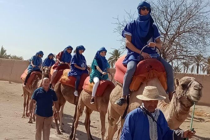 Marrakech camel ride in Palm grove - Marrakech Camel Ride in Palm Grove: A Practical Guide for Travelers