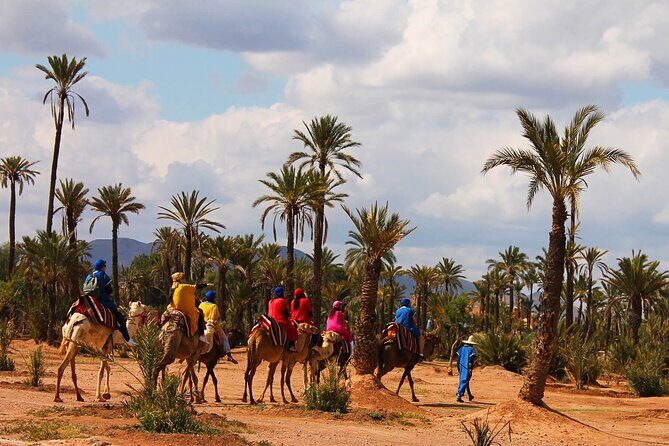 Marrakech Camel Ride in Palmeraie - Authentic Experiences and Real Traveler Insights