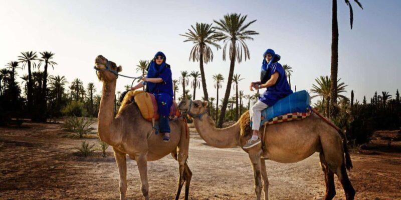 Marrakech: Camel Ride in the Palm Grove - What the Tour Entails: A Detailed Breakdown