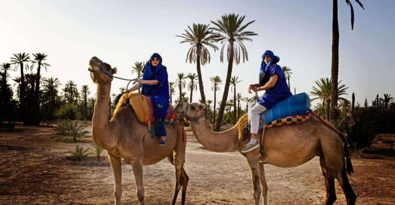 Marrakech: Camel Ride in the Palm Grove - Additional Details to Consider