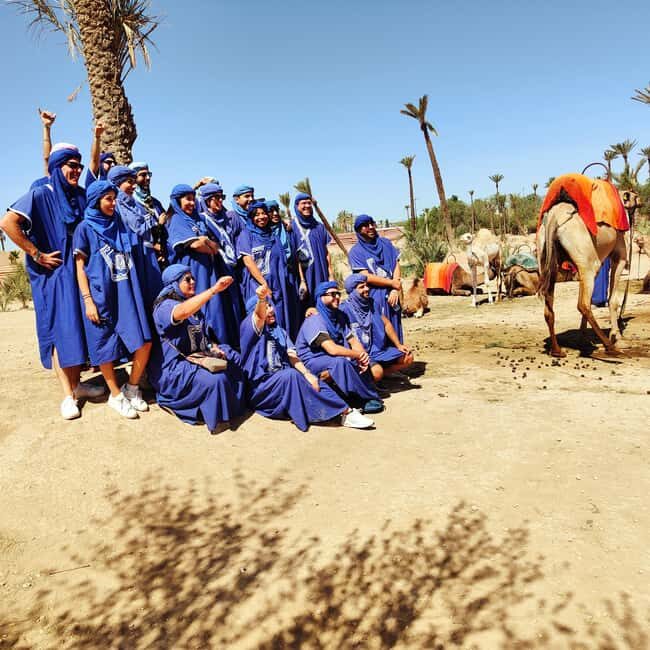 Marrakech: Camel Ride in the Palm Grove - The Sum Up: Who’s This Tour Perfect For?