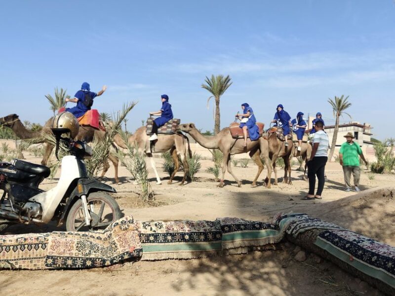 Marrakech: Camel Ride in the Palm Grove - FAQ