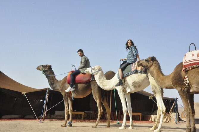 Marrakech: Camel ride in the palm grove - Exploring the Itinerary: What to Expect