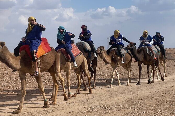 Marrakech: Camel ride in the palm grove - Who Will Love This Tour?