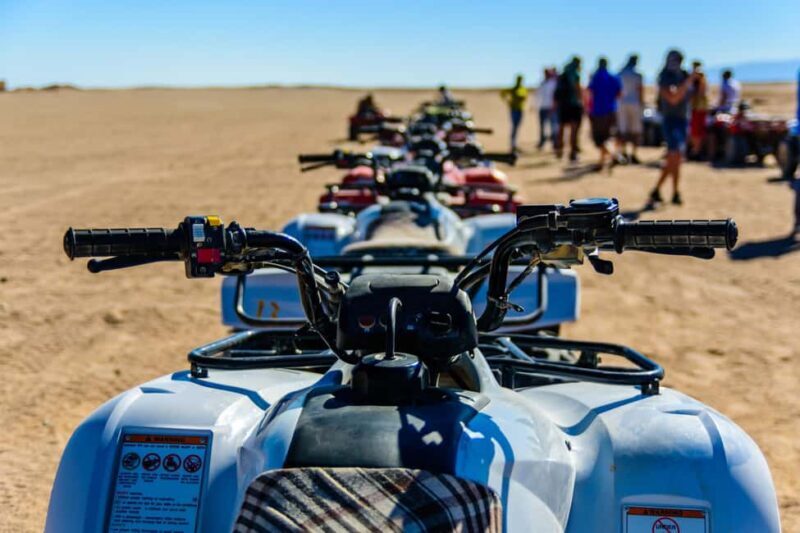 Marrakech : Camel Ride, Quad Bike In Palmeraie With Transfer - Transportation and Logistics