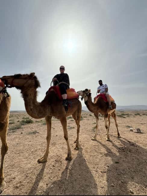 Marrakech: Camel Ride, Sunset, Dinner show in Agafay desert - Authenticity and Entertainment