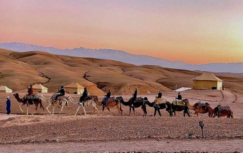 Marrakech: Camel Ride, Sunset, Dinner show in Agafay desert - Final Summary