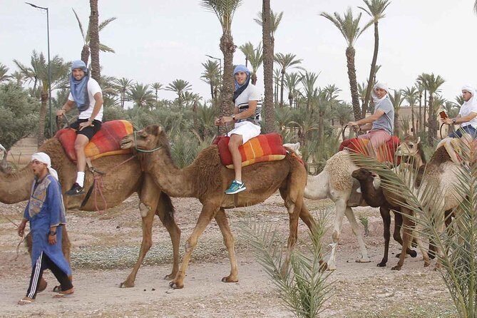 Marrakech Camel Ride Tour - Final Words
