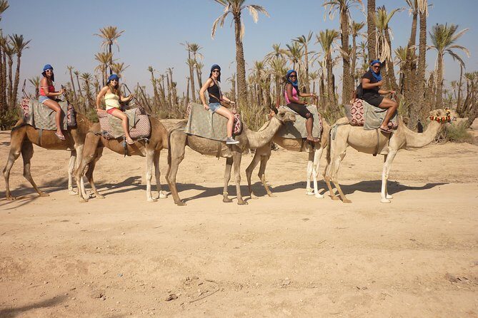 Marrakech camel ride tour - An In-Depth Look at the Marrakech Camel Ride Tour