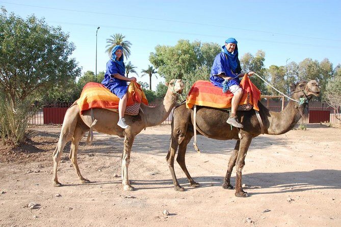 Marrakech camel ride tour - Who This Tour Is Best For