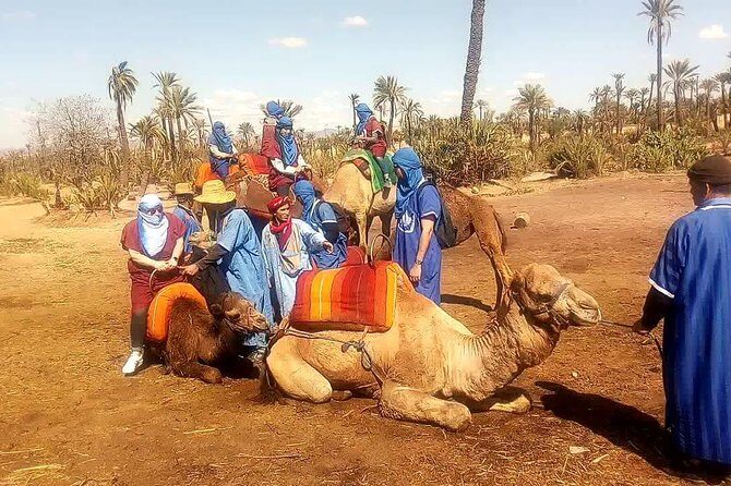 Marrakech camel ride tour - The Sum Up: A Genuine Moroccan Moment