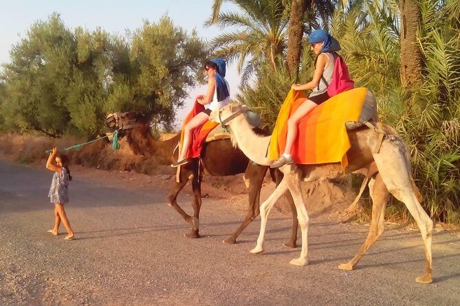 Marrakech camel ride tour - FAQ