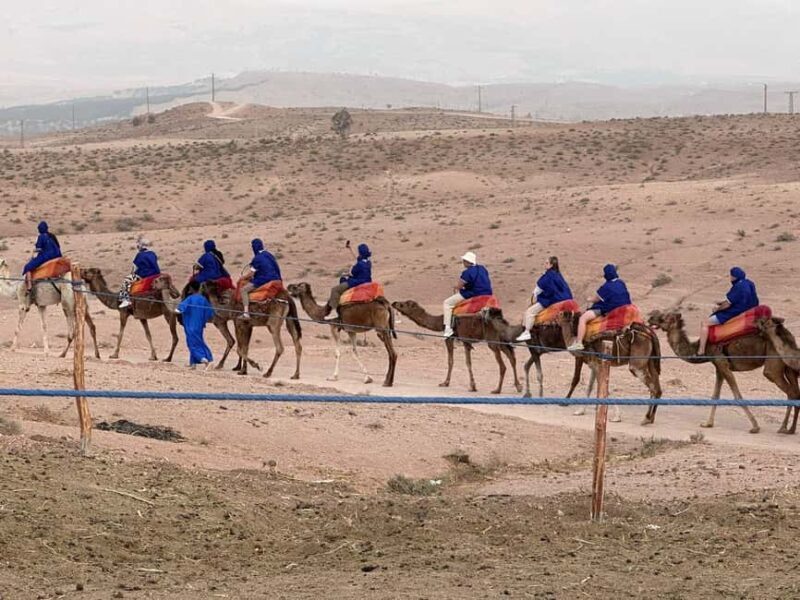 Marrakech: Camel Ride with Dinner and Moroccan Music - An Introduction to the Experience