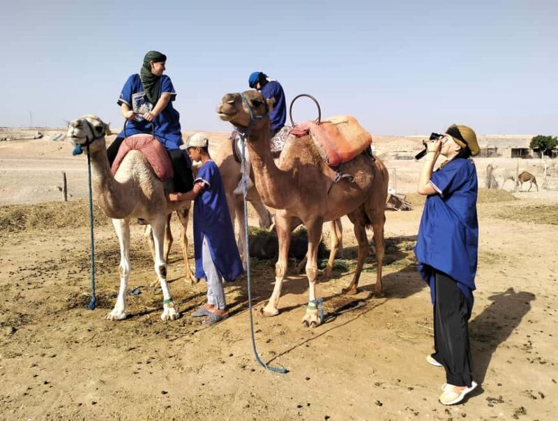 Marrakech: Camel Safari at Agafay Desert - A Scenic Ride Through the Agafay Desert
