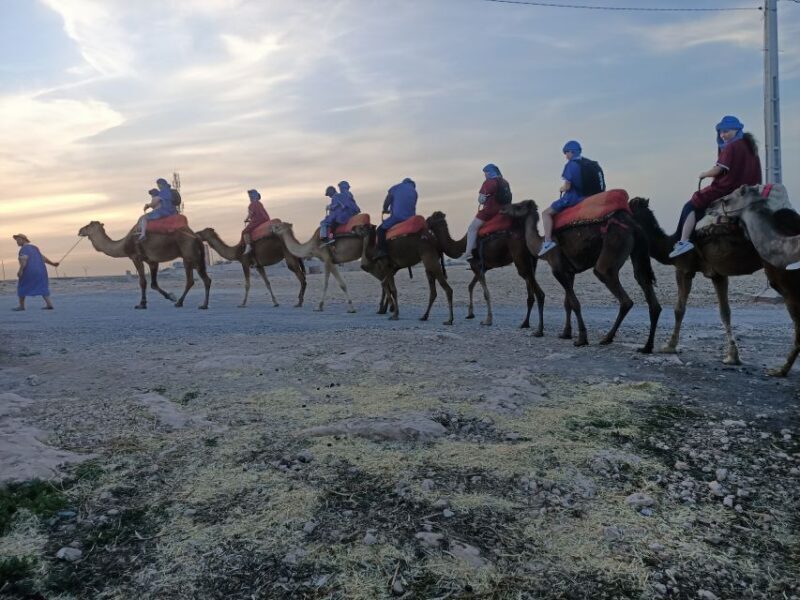 Marrakech: Camel Safari at Agafay Desert - What’s Included and What’s Not