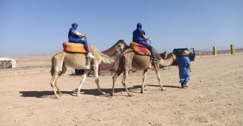 Marrakech: Camel Safari at Agafay Desert - Practical Considerations