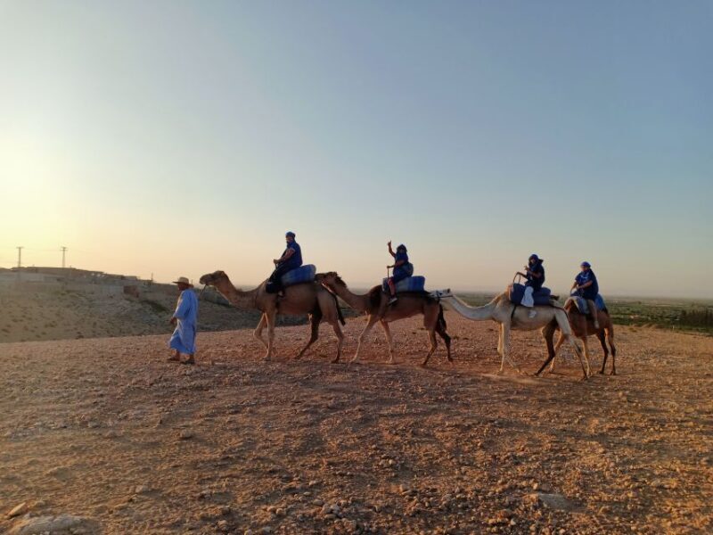 Marrakech: Camel Safari at Agafay Desert - The Sum Up