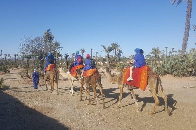 Marrakech Camel Safari at Agafay Desert - An Introduction to the Marrakech Camel Safari Experience