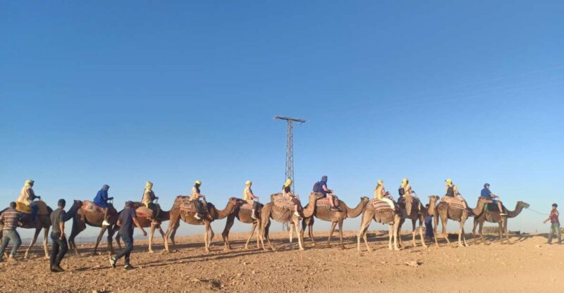 Marrakech: Camel Safari at Agafay Desert with Lunch - An Authentic Day Out in the Agafay Desert
