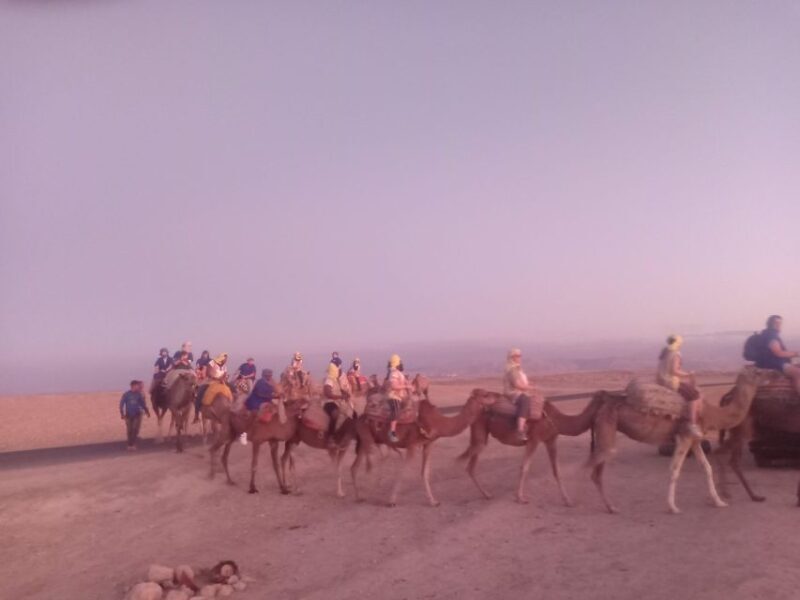 Marrakech: Camel Safari at Agafay Desert with Lunch - What the Reviews Say
