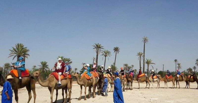 Marrakech: Camel Trek - Key Points