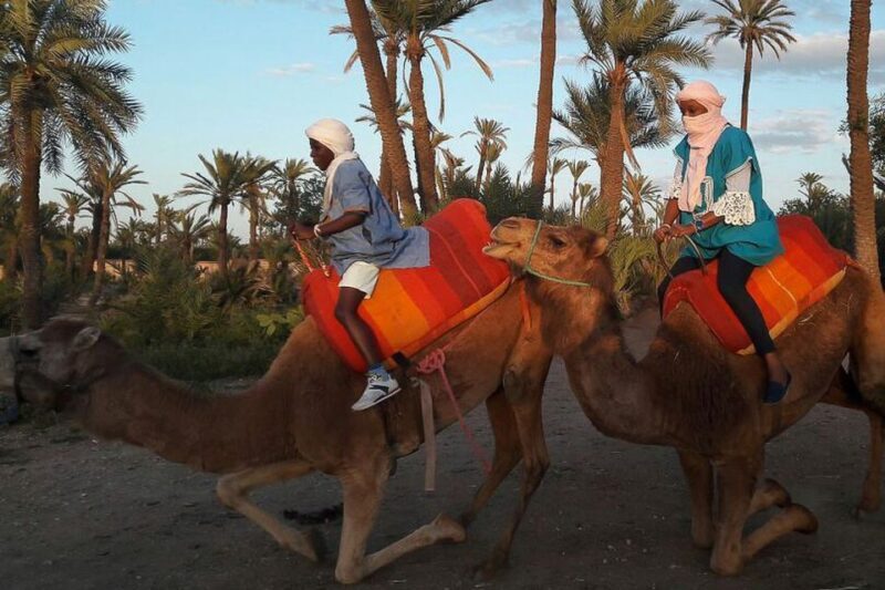 Marrakech: Camel Trek - An In-Depth Look at the Marrakech Camel Trek